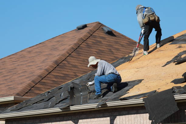 Best Roof Ventilation Installation  in Northchase, NC